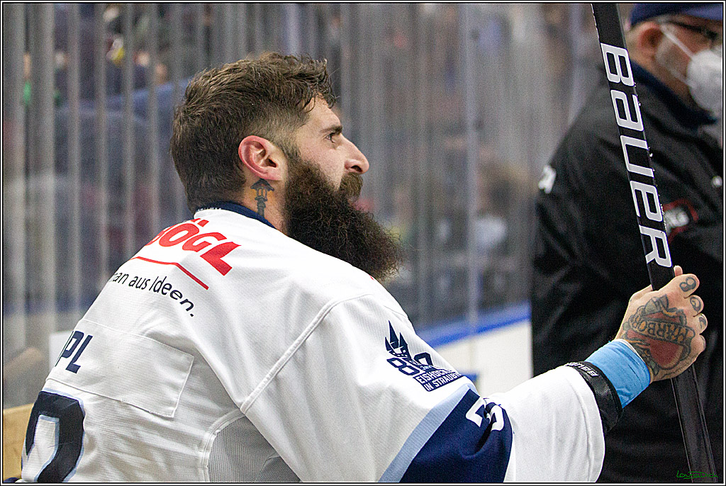 PENNY DEL;  Koelner Haie - Straubing Tigers; Koeln, 15.10.2021